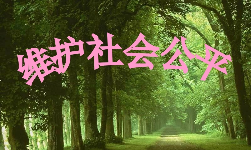 八年级政治下册 4.9.2 维护社会公平课件 新人教版 课件