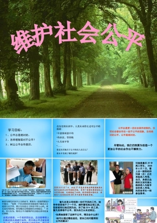 八年级政治下册 4.9.2 维护社会公平课件 新人教版 课件