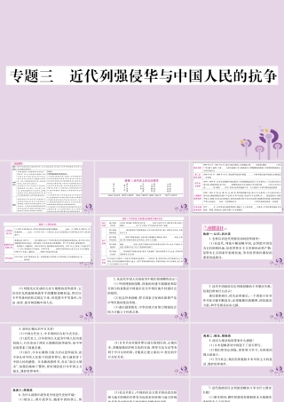 中考历史复习 第二篇 知能综合提升 专题突破3 近代列强侵华与中国人民的抗争课件