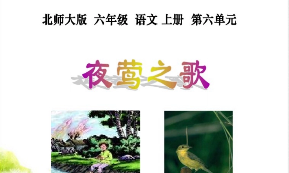 夜莺之歌的教学课件
