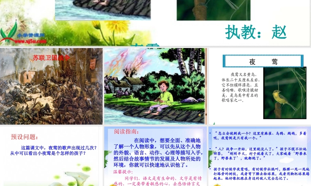 夜莺之歌的教学课件
