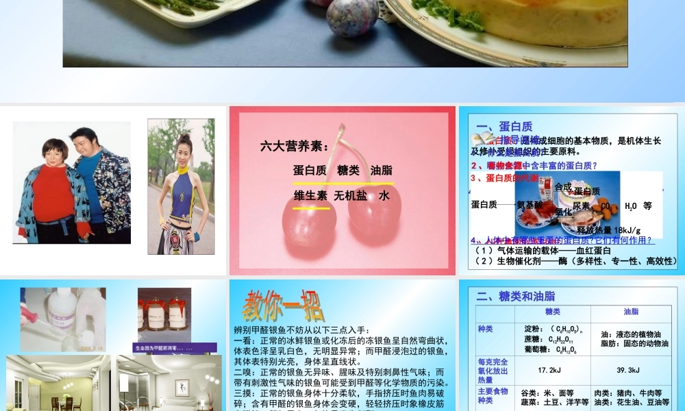 新课标 人教版化学与生活 人类重要的营养物质2 课件