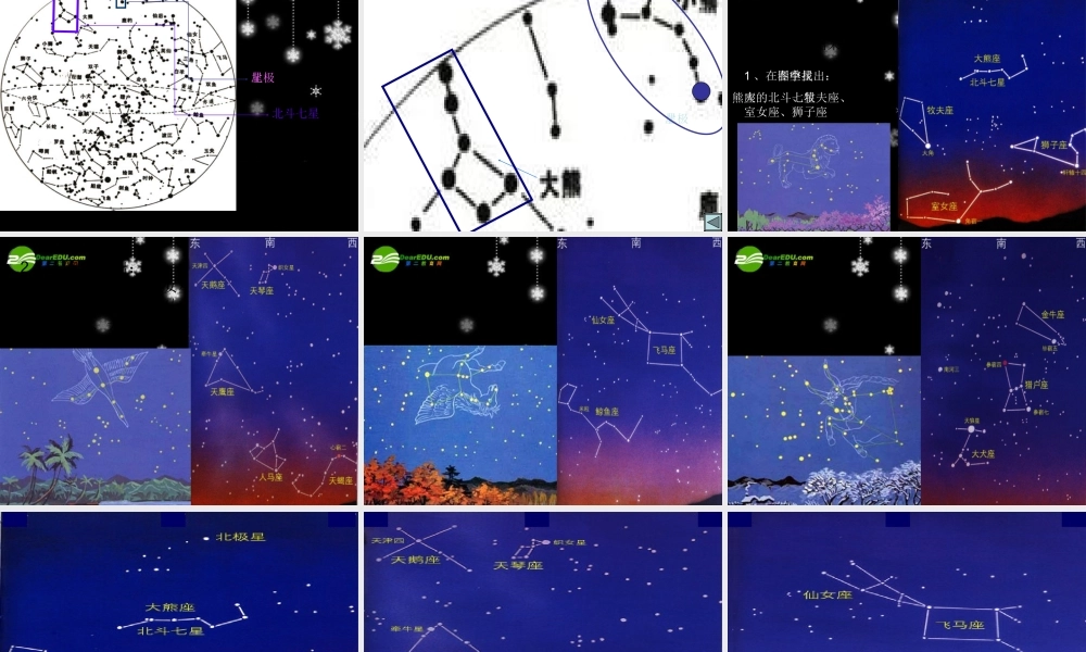 七年级科学上册 第一章第1节观天认星 华师大版 课件