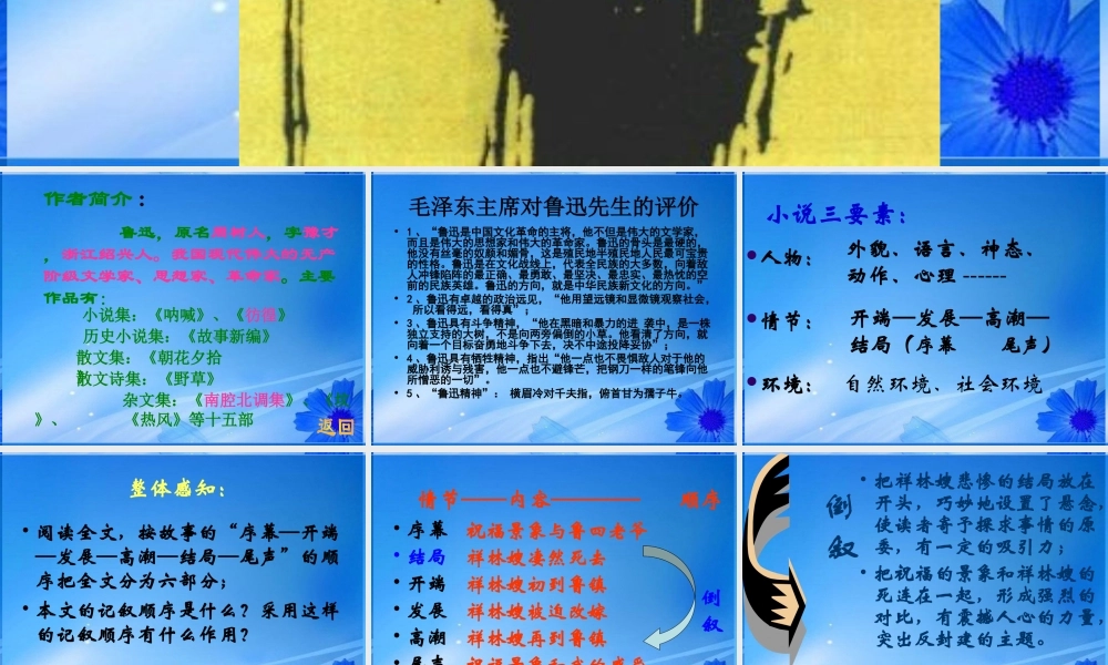 山东省菏泽一中高一语文(祝福)课件 新人教版 课件