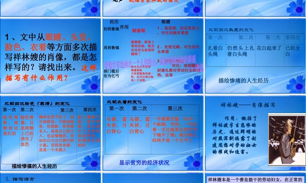 山东省菏泽一中高一语文(祝福)课件 新人教版 课件