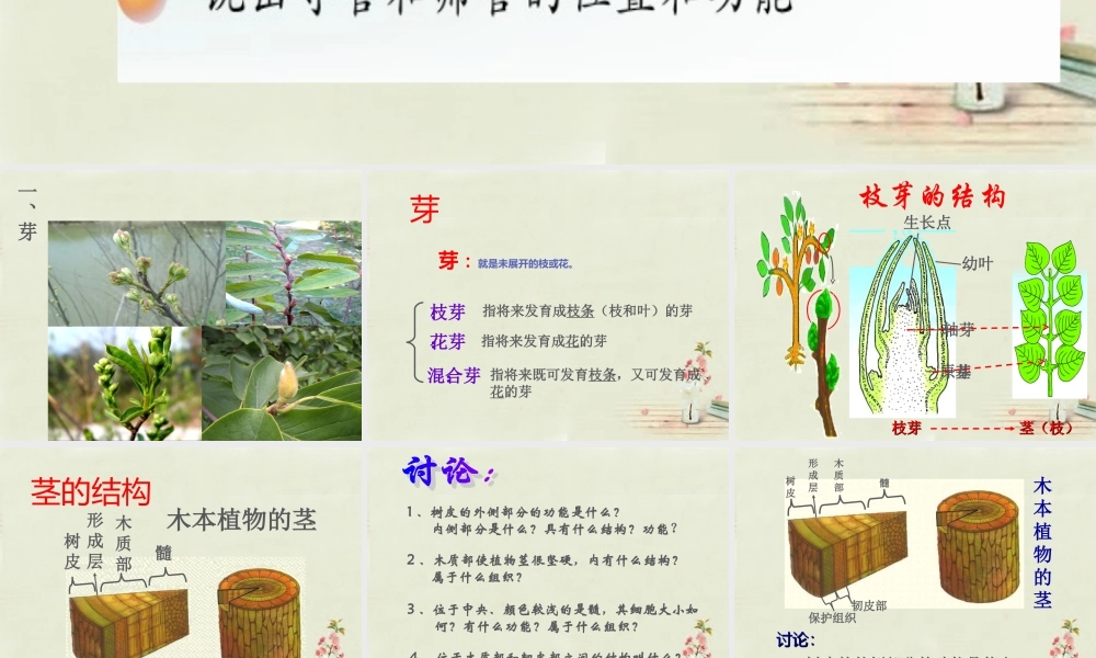 中学七年级生物上册 3.5.4 植物茎的输导功能课件 (新版)苏教版 课件