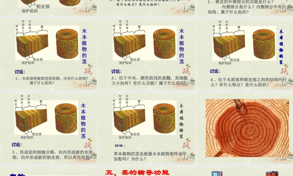 中学七年级生物上册 3.5.4 植物茎的输导功能课件 (新版)苏教版 课件