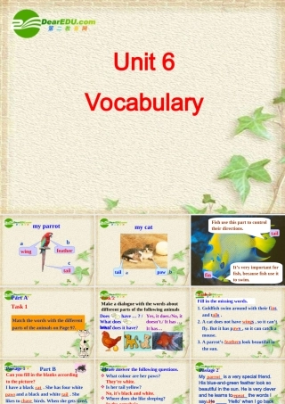 七年级英语7B Unit6 Vocabulary1课件牛津版 课件
