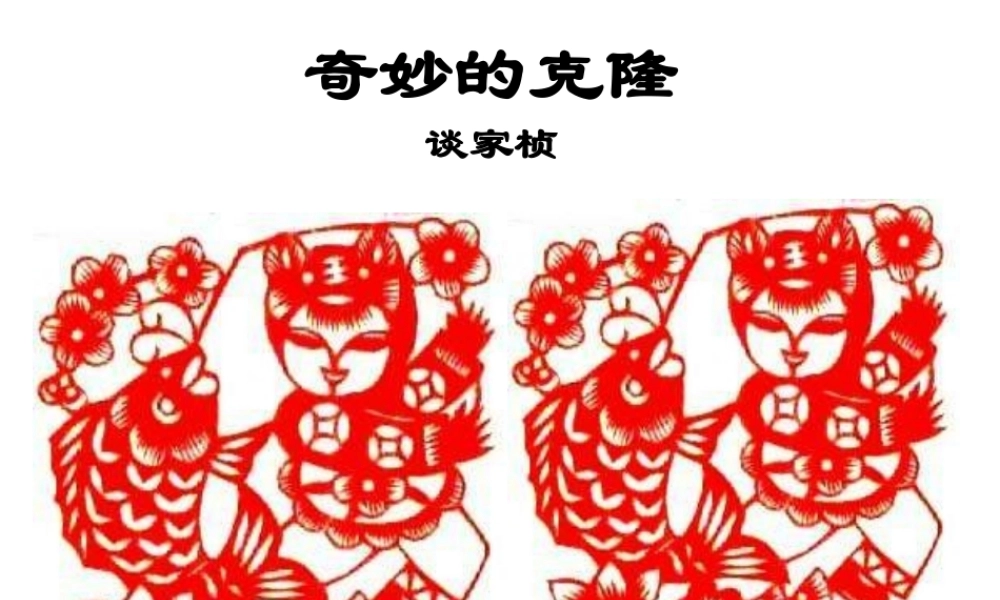 八年级语文奇妙的克隆课件2 新课标 人教版 课件