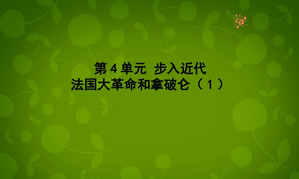 中学九年级历史上册(第13课 法国大革命和拿破仑帝国)课件 新人教版 课件