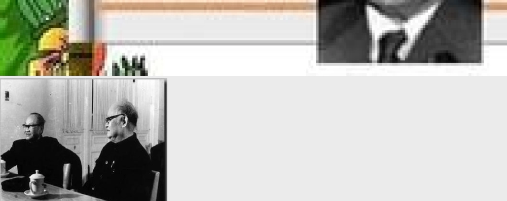 八年级语文上册 10(谈语言)图片课件 语文版 课件