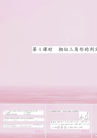 九年级数学上册 341 相似三角形的判定(第4课时)相似三角形的判定定理3练习课件 (新版)湘教版 课件