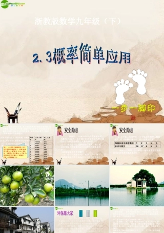 九年级数学下册 23概率的简单应用(1)课件 浙教版 课件