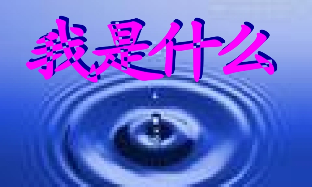 我是什么PPT课件2