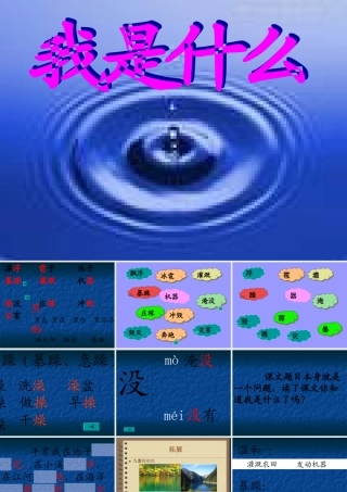 我是什么PPT课件2