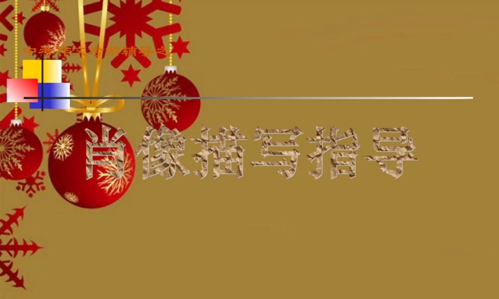 中考作文考前辅导课件 肖像描写指导 课件