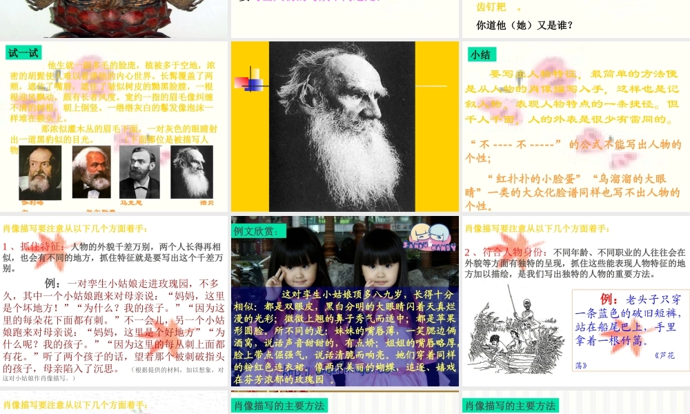 中考作文考前辅导课件 肖像描写指导 课件