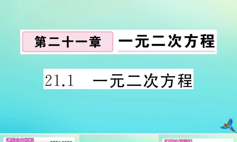 九年级数学上册 第21章 一元二次方程 211 一元二次方程作业课件 (新版)新人教版 课件