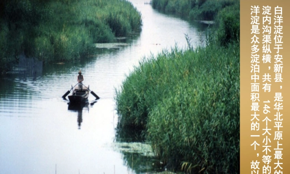 八年级语文上册(芦花荡)课件2 新人教版 课件