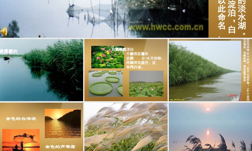 八年级语文上册(芦花荡)课件2 新人教版 课件