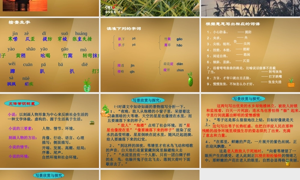 八年级语文上册(芦花荡)课件2 新人教版 课件