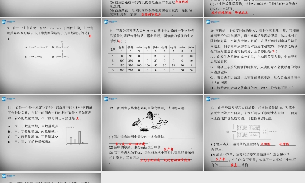 九年级科学下册 251 生态系统的自动调节能力习题课件 浙教版 课件