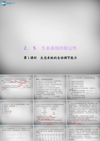 九年级科学下册 251 生态系统的自动调节能力习题课件 浙教版 课件
