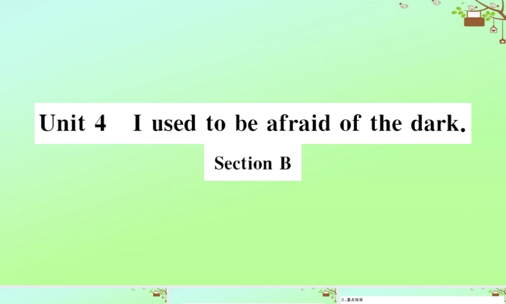 九年级英语全册 Unit 4 I used to be afraid of the dark Section B作业课件 (新版)人教新目标版 课件