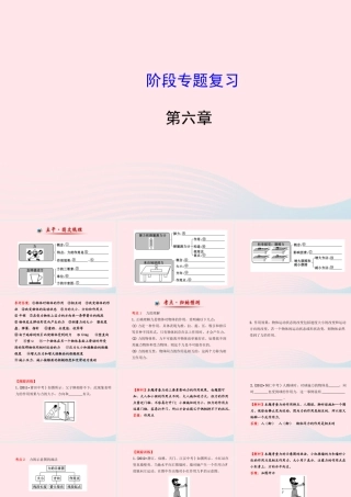 八年级物理全册 第六章 熟悉而陌生的力阶段专题复习课件 (新版)沪科版 课件