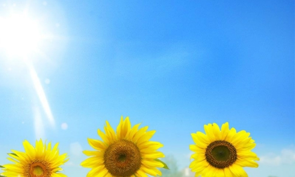 pep英语六年级上册第四单元第五课时课件