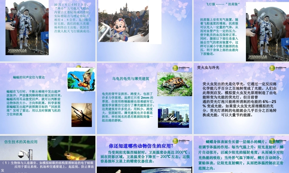 八年级生物上册 5.3.2 动物与人类生活的关系课件 新人教版 课件
