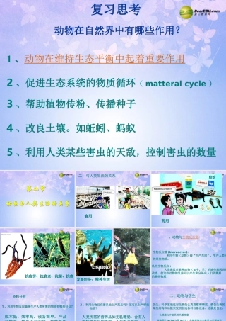 八年级生物上册 5.3.2 动物与人类生活的关系课件 新人教版 课件