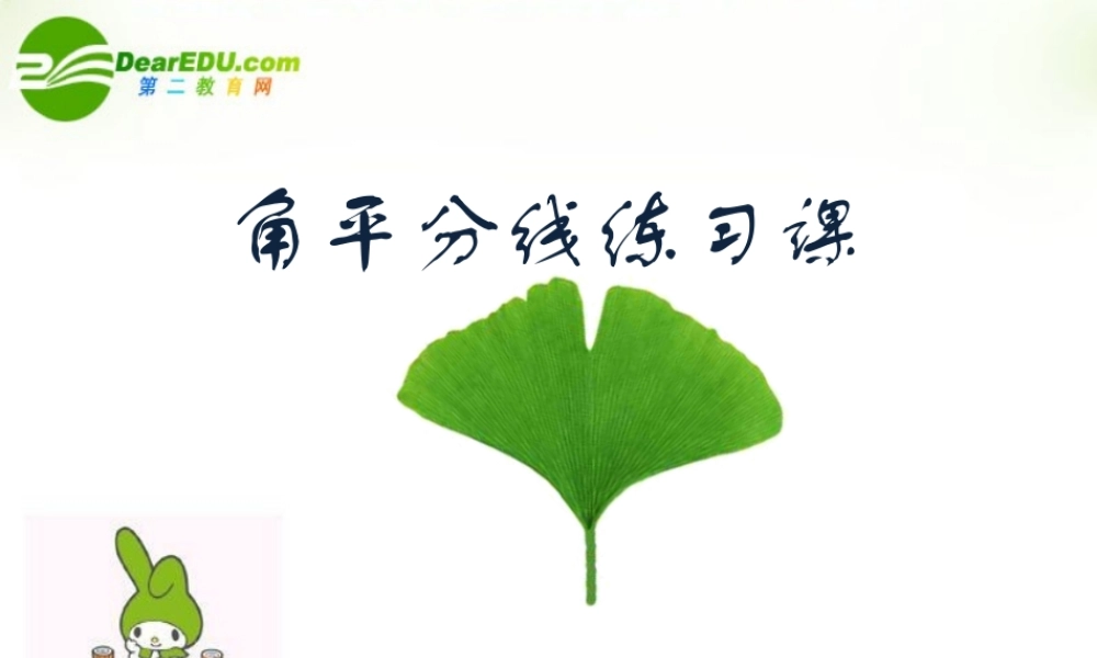 中考数学 角平分线的练习课件 人教新课标版 课件