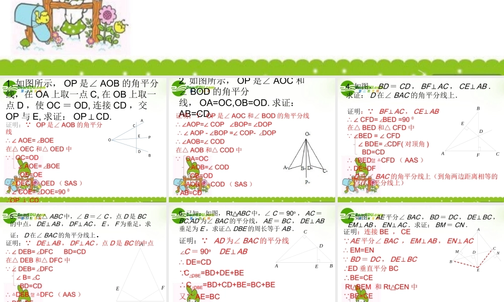 中考数学 角平分线的练习课件 人教新课标版 课件