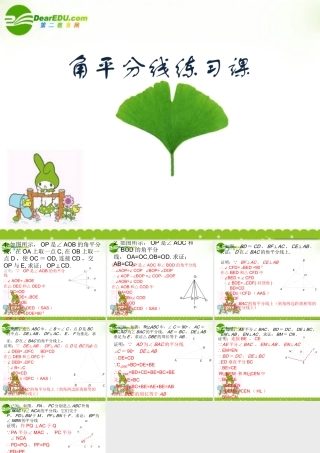 中考数学 角平分线的练习课件 人教新课标版 课件