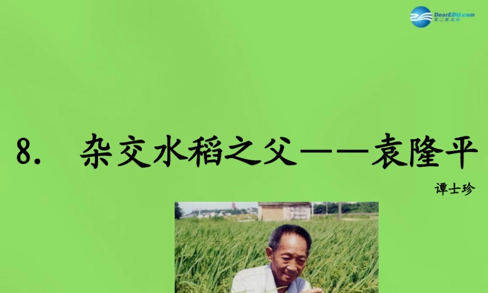 八年级语文上册 8 杂交水稻之父—袁隆平课件 语文版 课件