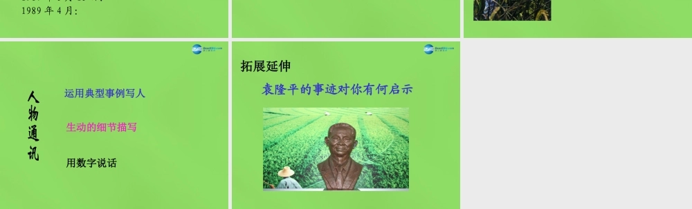 八年级语文上册 8 杂交水稻之父—袁隆平课件 语文版 课件