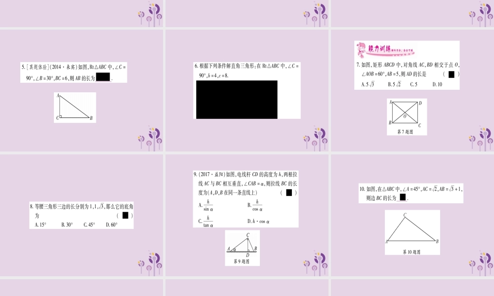 九年级数学上册 第4章 锐角三角函数 43 解直角三角形作业课件 (新版)湘教版 课件