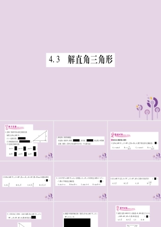 九年级数学上册 第4章 锐角三角函数 43 解直角三角形作业课件 (新版)湘教版 课件