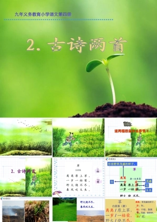 二年级下册语文古诗两首(草_宿新市徐公店)