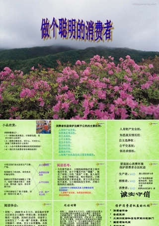 八年级政治上册 第九课第三节做个聪明的消费者课件 鲁教版 课件