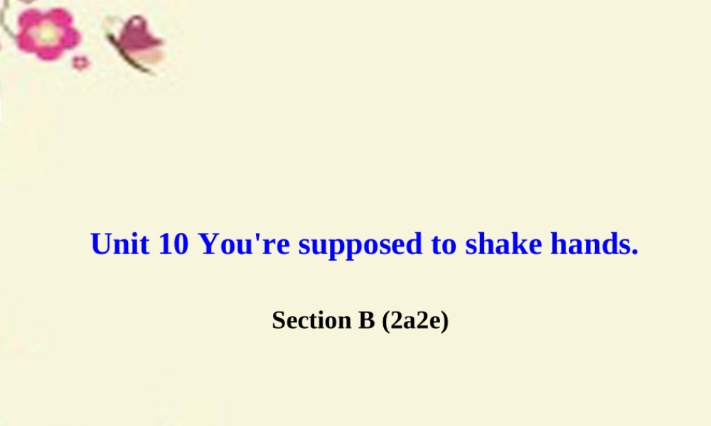 九年级英语全册 Unit 10 You re supposed to shake hands Section B(2a 2e)课件 (新版)人教新目标版 课件