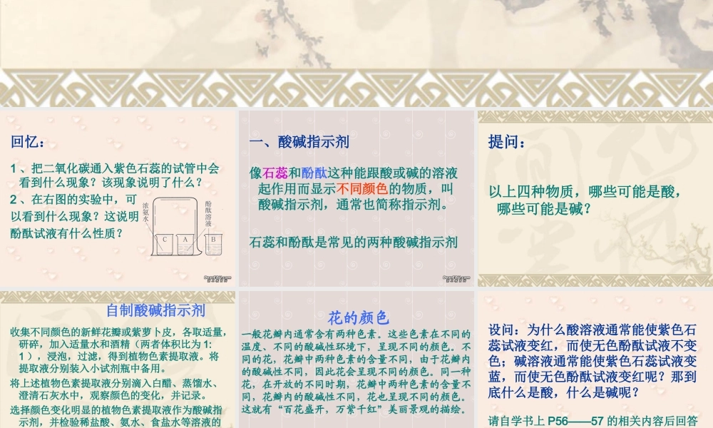 初三化学常见的酸和碱 课件