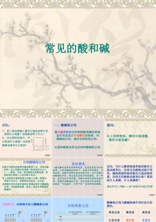 初三化学常见的酸和碱 课件