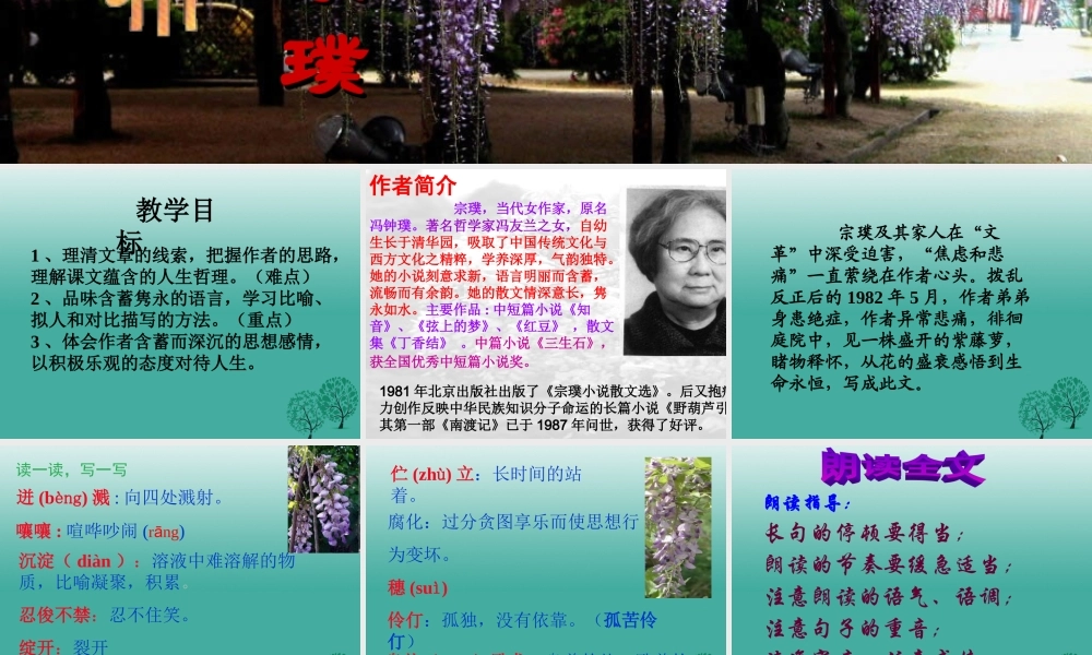 八年级语文上册(紫藤萝瀑布)课件 鲁教版五四制 课件