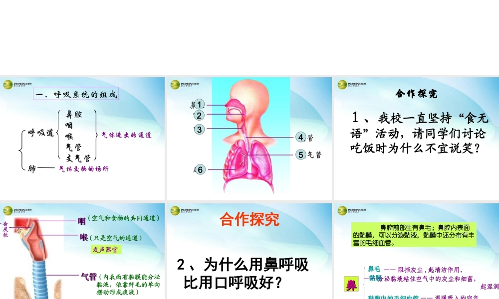 七年级生物下册 第二章 第一节 人体与外界的气体交换课件 济南版 课件
