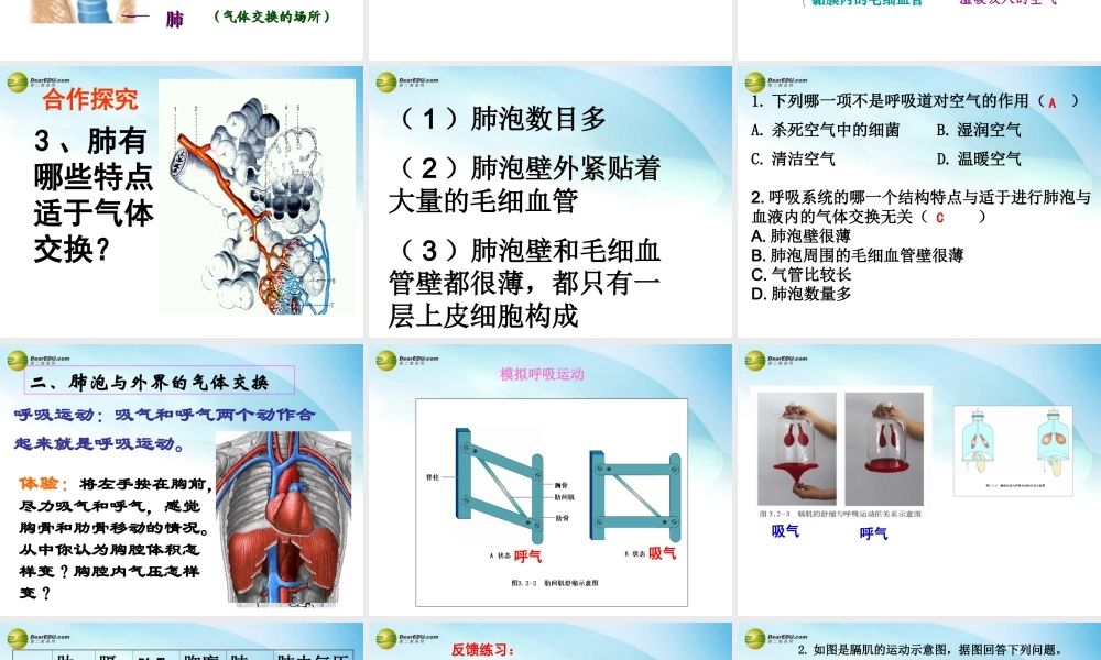 七年级生物下册 第二章 第一节 人体与外界的气体交换课件 济南版 课件