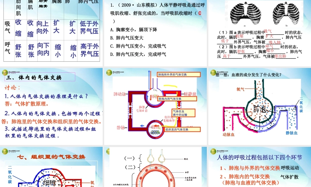 七年级生物下册 第二章 第一节 人体与外界的气体交换课件 济南版 课件