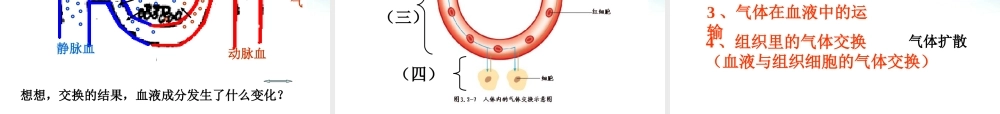 七年级生物下册 第二章 第一节 人体与外界的气体交换课件 济南版 课件