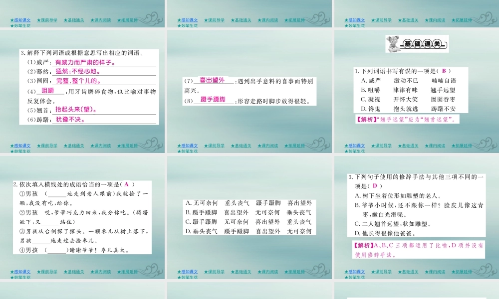 九年级语文下册 第五单元 19(枣儿)巩固练习课件 新人教版 课件
